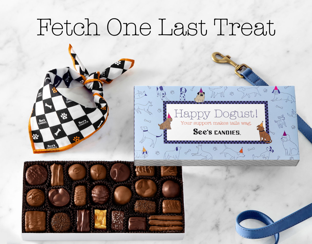 Fetch One Last Treat