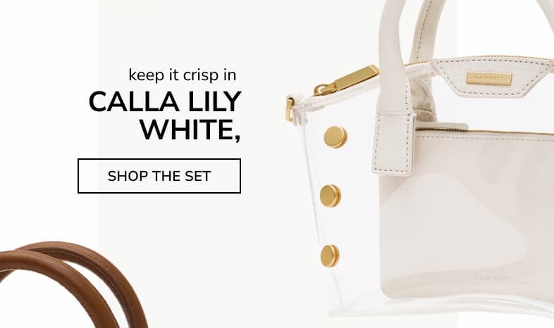 Clear Paula bag paired with a Calla Lily White leather Viva Pouch. Keep it crisp in CALLA LILY WHITE, SHOP THE SET.