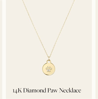 14K Diamond Paw Necklace