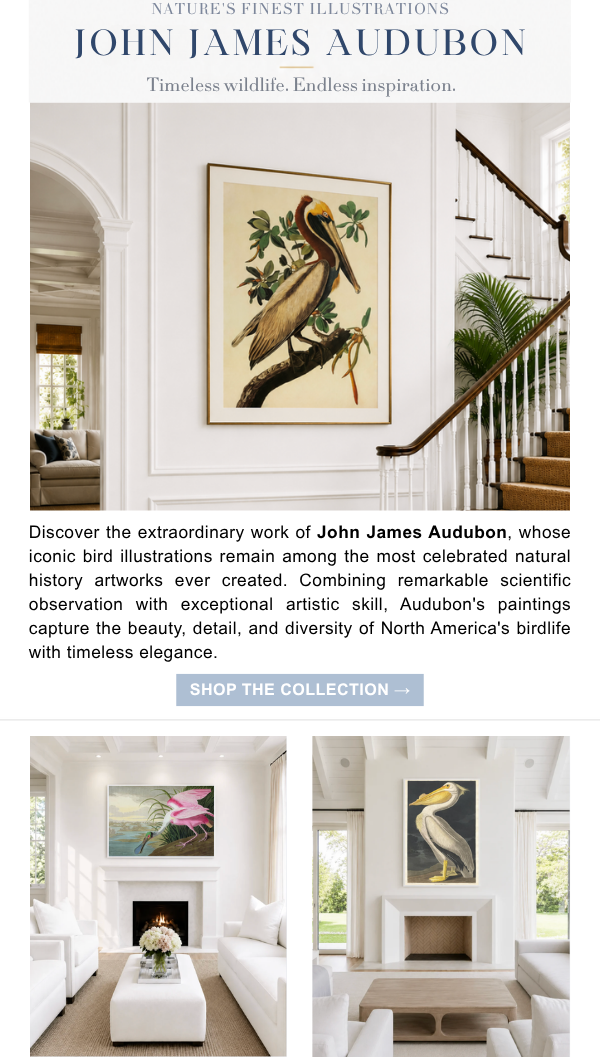 Nature's Finest Illustrations: John James Audubon - Timeless wildlife. Endless inspiration. Discover the extraordinary work of John James Audubon, whose iconic bird illustrations remain among the most celebrated natural history artworks ever created. Combining remarkable scientific observation with exceptional artistic skill, Audubon's paintings capture the beauty, detail, and diversity of North America's birdlife with timeless elegance. Shop the Collection
