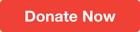 Donate Now