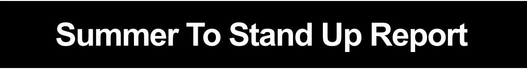 Summer To Stand Up Report