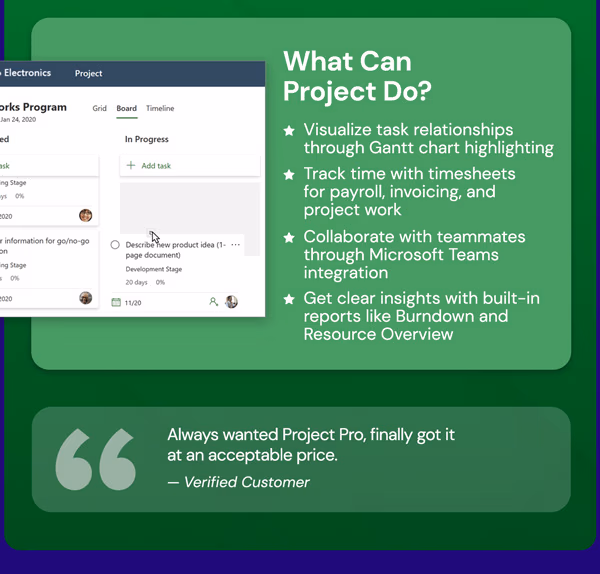 Microsoft Project Professional 2024: Lifetime License for Windows