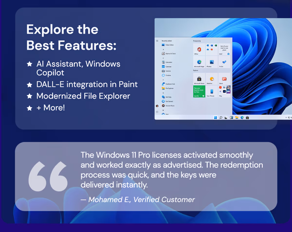 Microsoft Windows 11 Pro