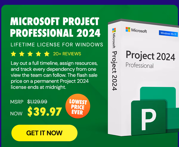 Microsoft Project Professional 2024: Lifetime License for Windows
