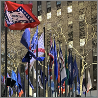 State Flags