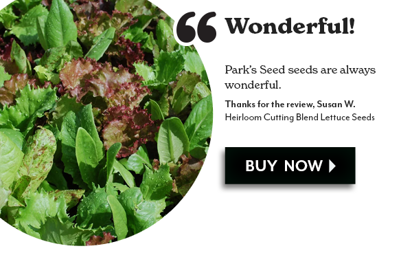 Wonderful! Park's Seed seeds are always wonderful.