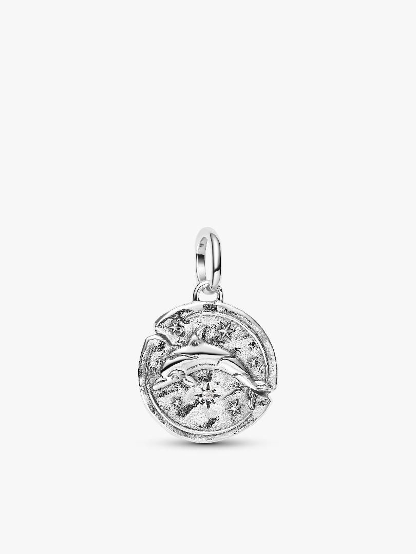 Dolphin Medallion Charm