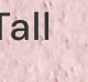 Big & Tall