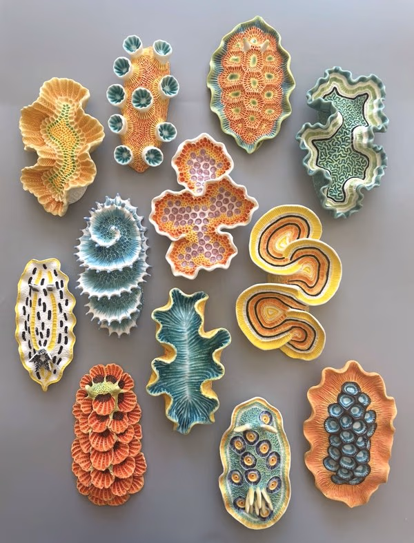 @lisaseaurchin on Instagram
