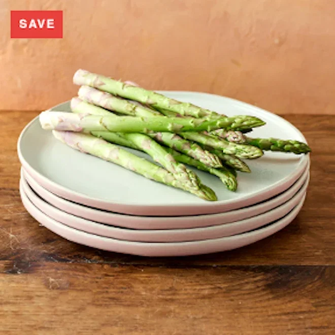 Jamie Oliver Big Love Stoneware Perfect Plates, Set of 4
