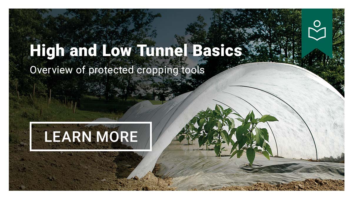 High and Low Tunnel Basics - Learn More