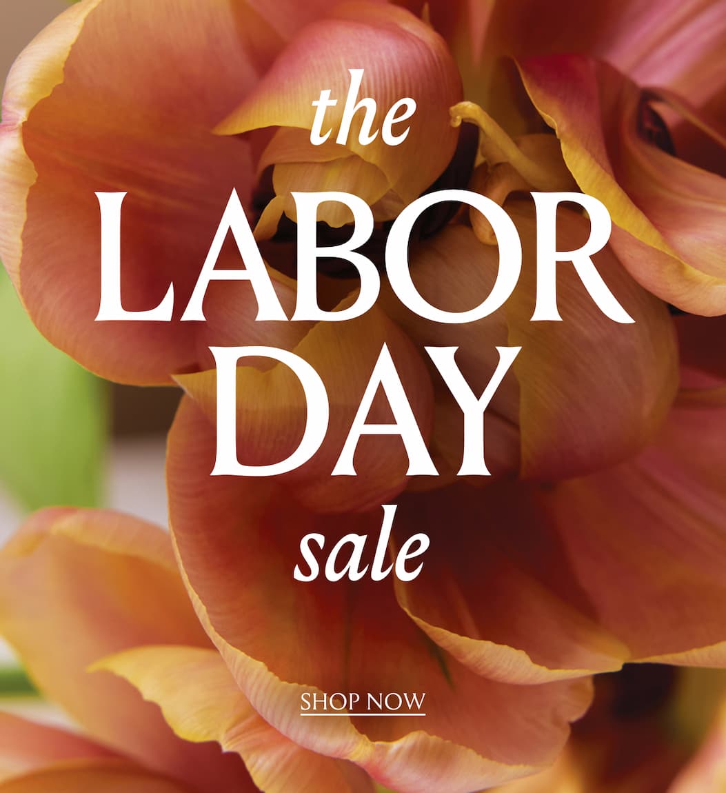The Labor Day Sale | Shop Now
