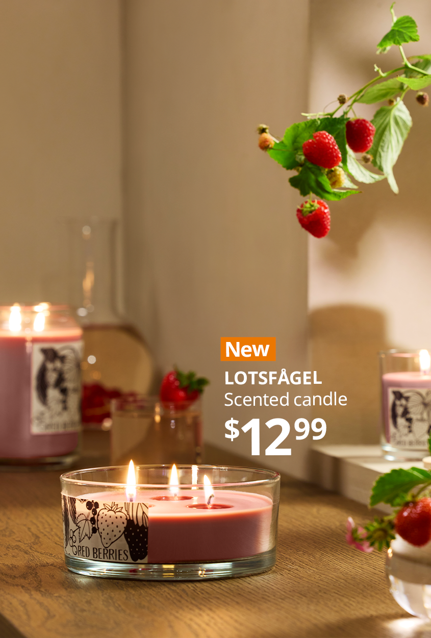 LOTSFÅGEL