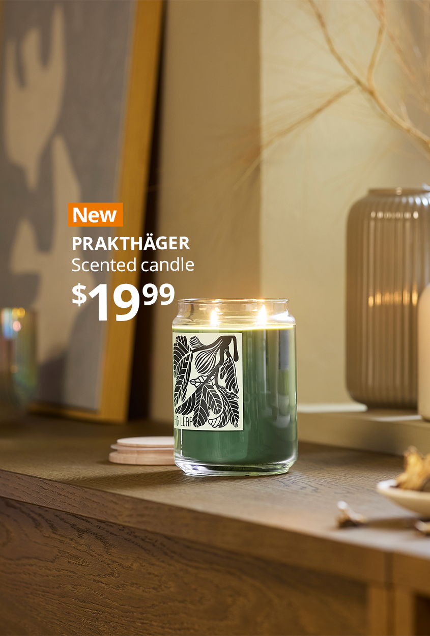 PRAKTHÄGER