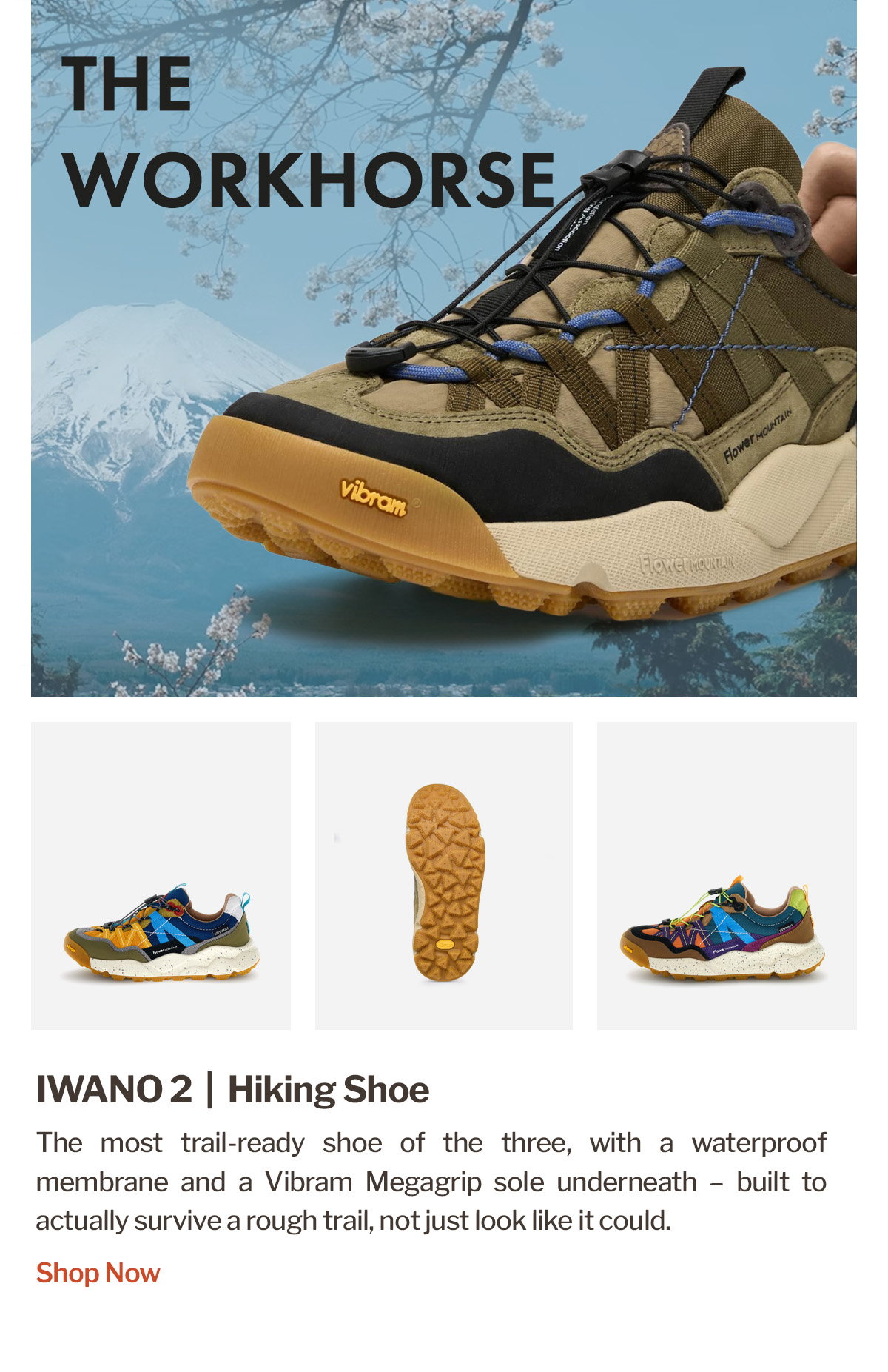 Flower Mountain IWANO 2 | Waterproof Trail Shoes | WildBounds UK
