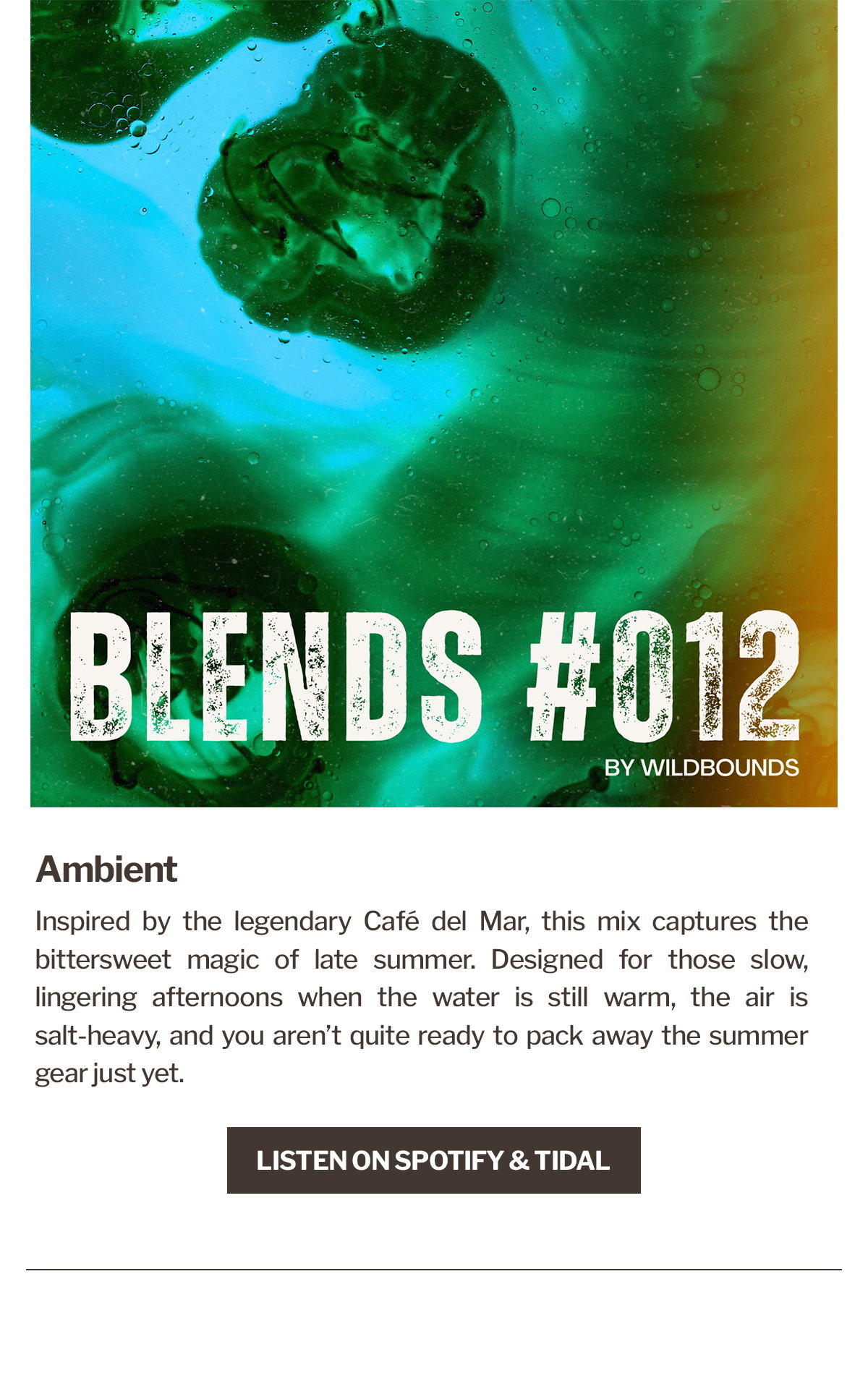 WildBounds Blends #12 | Ambient