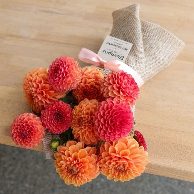 Market Box Dahlias - Soft Palette - 20% Off while supplies last