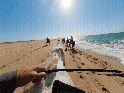 First-person view of horseback riding on a sunny beach.