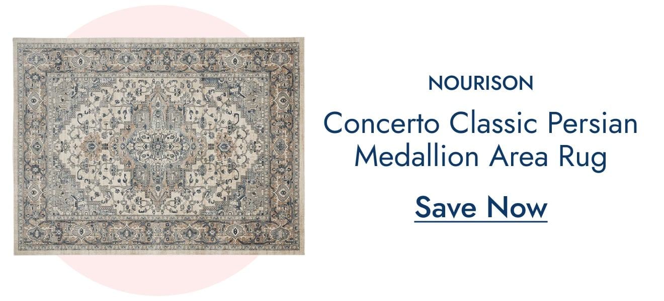 Nourison Concerto Persian Area Rug