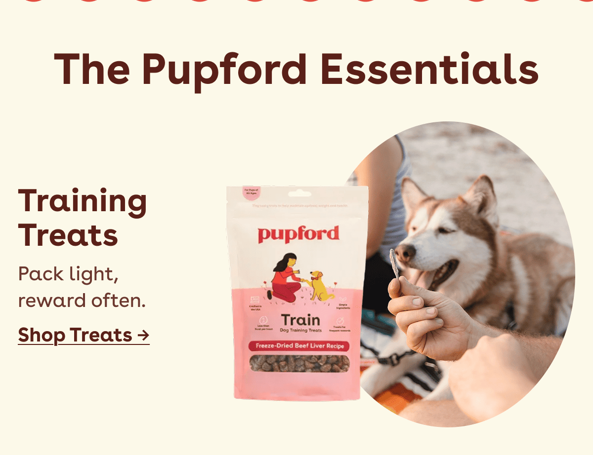 Training Treats