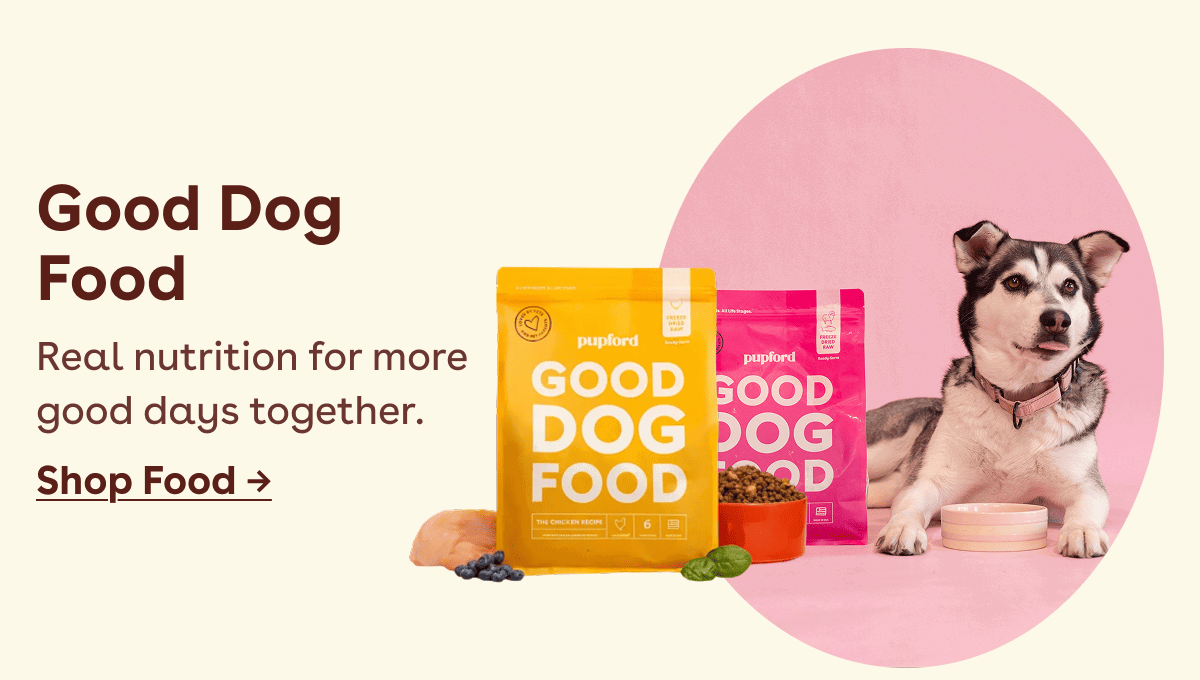 Good Dog Food