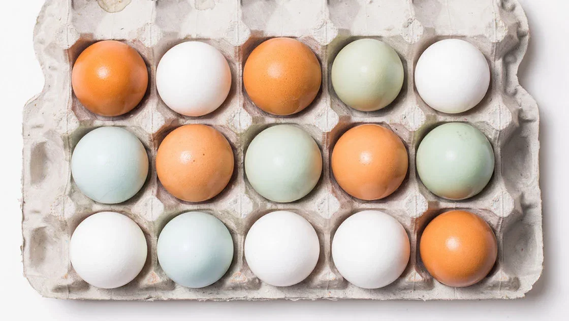 Carton of 18 Eggs