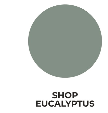 SHOP EUCALYPTUS