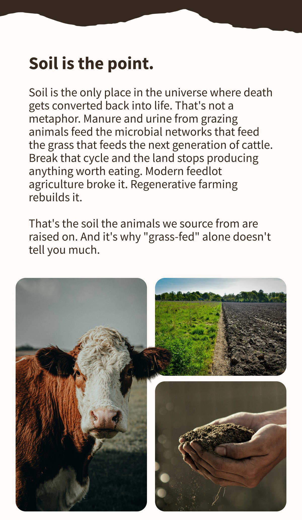 Soil is the point.  Soil is the only place in the universe where death gets converted back into life. That's not a metaphor. Manure and urine from grazing animals feed the microbial networks that feed the grass that feeds the next generation of cattle. Break that cycle and the land stops producing anything worth eating. Modern feedlot agriculture broke it. Regenerative farming rebuilds it.  That's the soil the animals we source from are raised on. And it's why "grass-fed" alone doesn't tell you much.