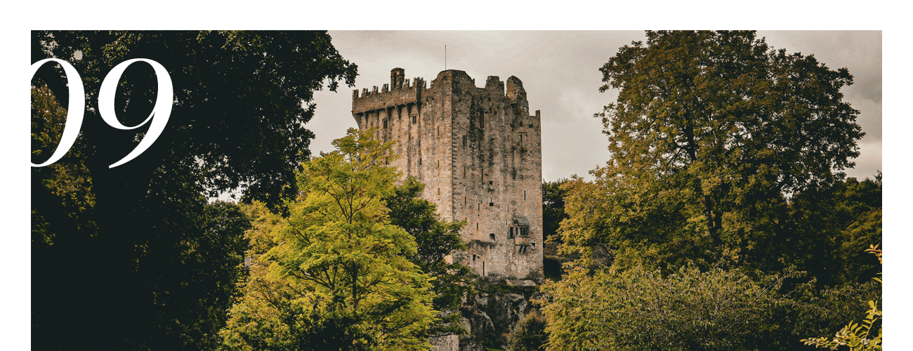 9. CIE Tours