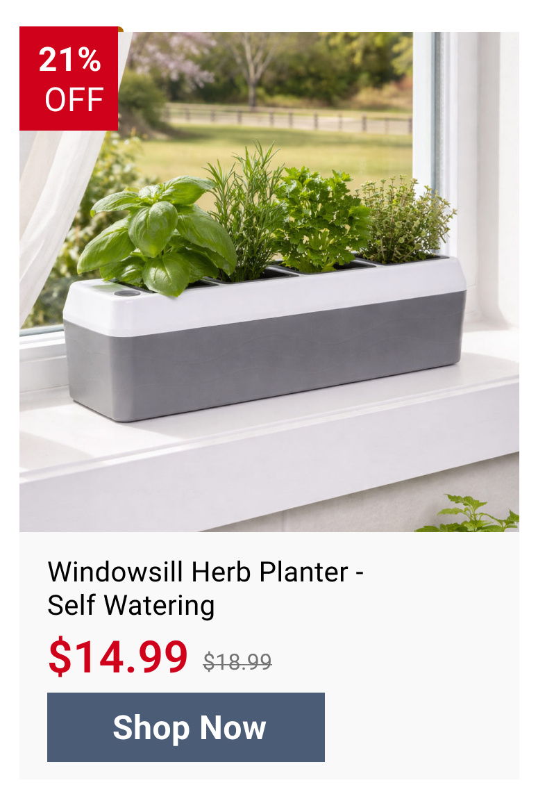 Windowsill Herb Planter - Self Watering