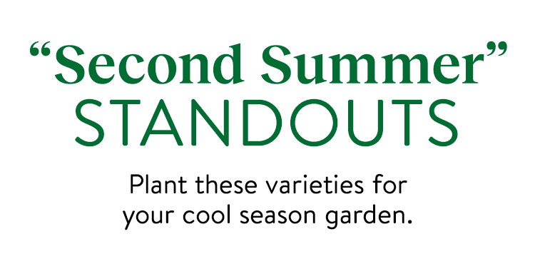 Brassica Seeds & Plants
