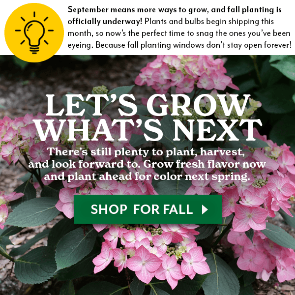LET'S GROW THROUGH IT - KEEP YOUR GARDEN GROWING FROM SUMMER INTO FALL