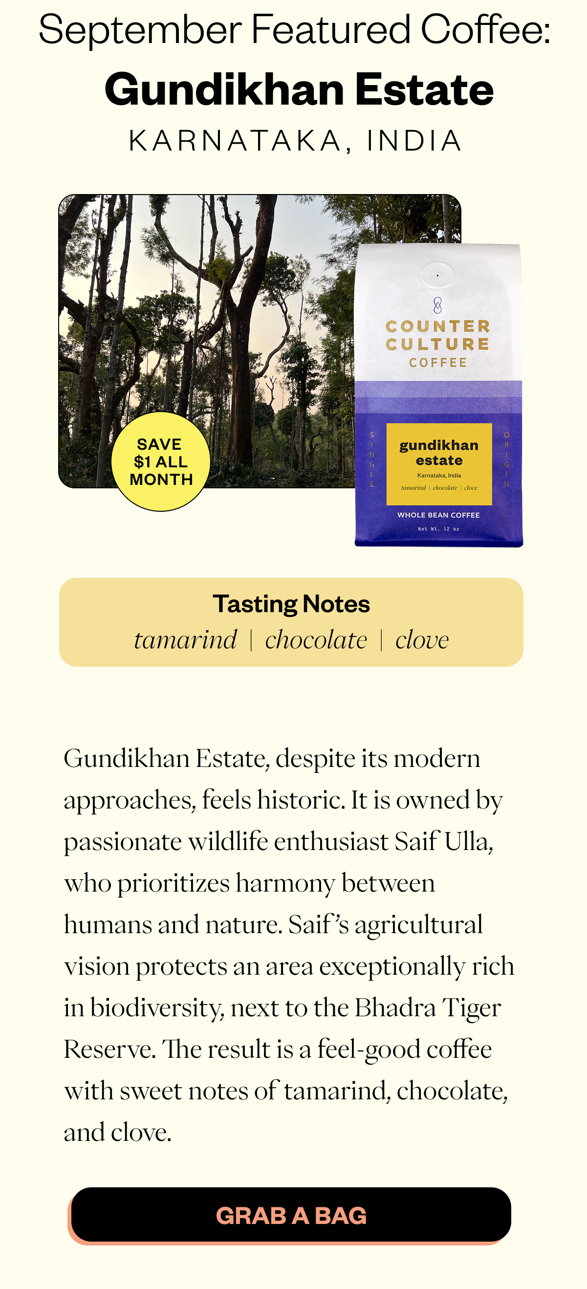 September Featured Coffee: Gundikhan Estate Karnataka, India Save $1 all month Tasting notes tamarind chocolate clove Gundikhan Estate, despite its modern approaches, feels historic. It is owned by passionate wildlife enthusiast Saif Ulla, who prioritizes harmony between humans and nature. Saif’s agricultural vision protects an area exceptionally rich in biodiversity, next to the Bhadra Tiger Reserve. The result is a feel-good coffee with sweet notes of tamarind, chocolate, and clove. CTA: SHOP NOW