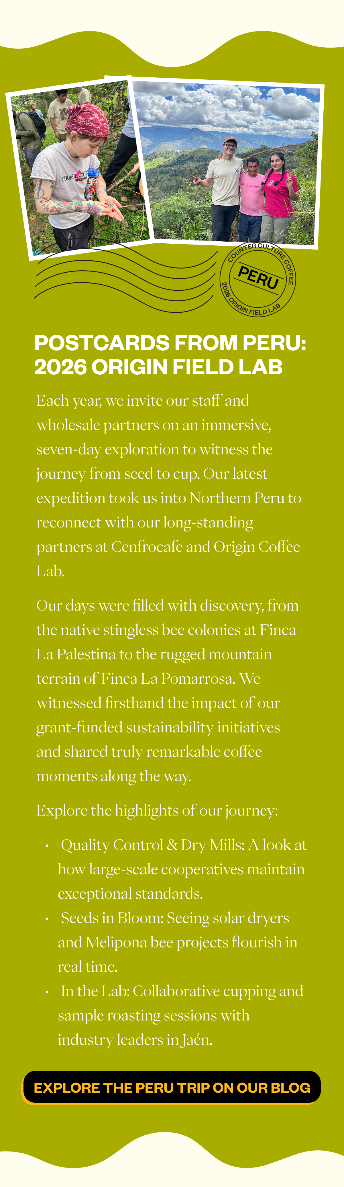 POSTCARDS FROM PERU: 2026 ORIGIN FIELD LAB Each year, we invite our staff and wholesale partners on an immersive, seven-day exploration to witness the journey from seed to cup. Our latest expedition took us into Northern Peru to reconnect with our long-standing partners at Cenfrocafe and Origin Coffee Lab. Our days were filled with discovery, from the native stingless bee colonies at Finca La Palestina to the rugged mountain terrain of Finca La Pomarrosa. We witnessed firsthand the impact of our grant-funded sustainability initiatives and shared truly remarkable coffee moments along the way. Explore the highlights of our journey:  Quality Control & Dry Mills: A look at how large-scale cooperatives maintain exceptional standards.  Seeds in Bloom: Seeing solar dryers and Melipona bee projects flourish in real time.  In the Lab: Collaborative cupping and sample roasting sessions with industry leaders in Jaén. CTA: EXPLORE THE PERU TRIP REPORT ON OUR BL