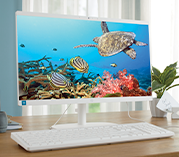 HP 22-Inch All-In-One Desktop Computer