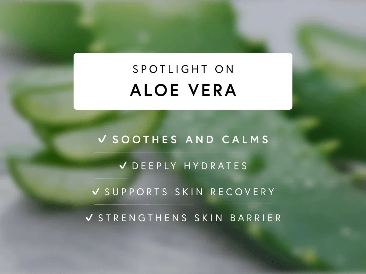 SPOTLIGHT ON ALOE VERA