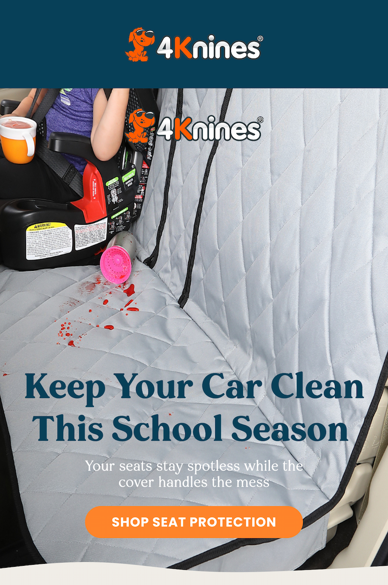 Keep your car clean this school season