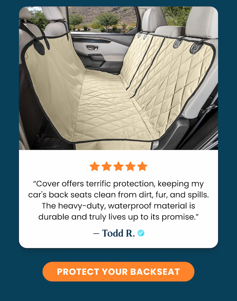 Protect your backseat
