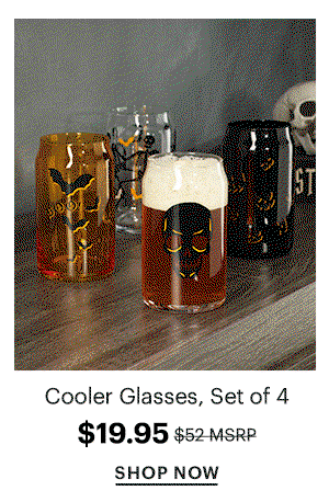 Cooler Glasses, Set of 4  $19.95  SHOP NOW