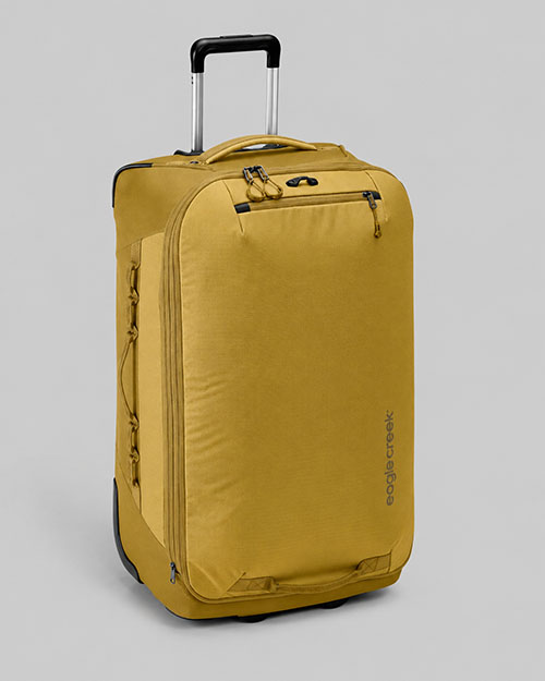 Expanse 2-Wheel 30" Luggage.