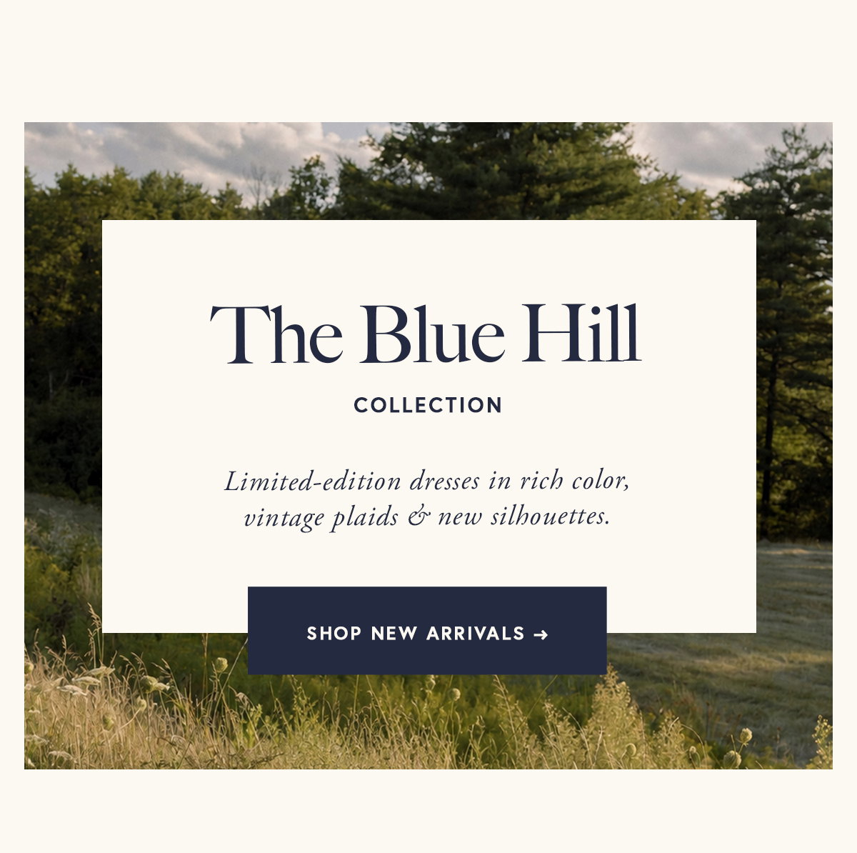 The Blue Hill Collection  Limited-edition dresses in rich color, vintage plaids & new silhouettes.