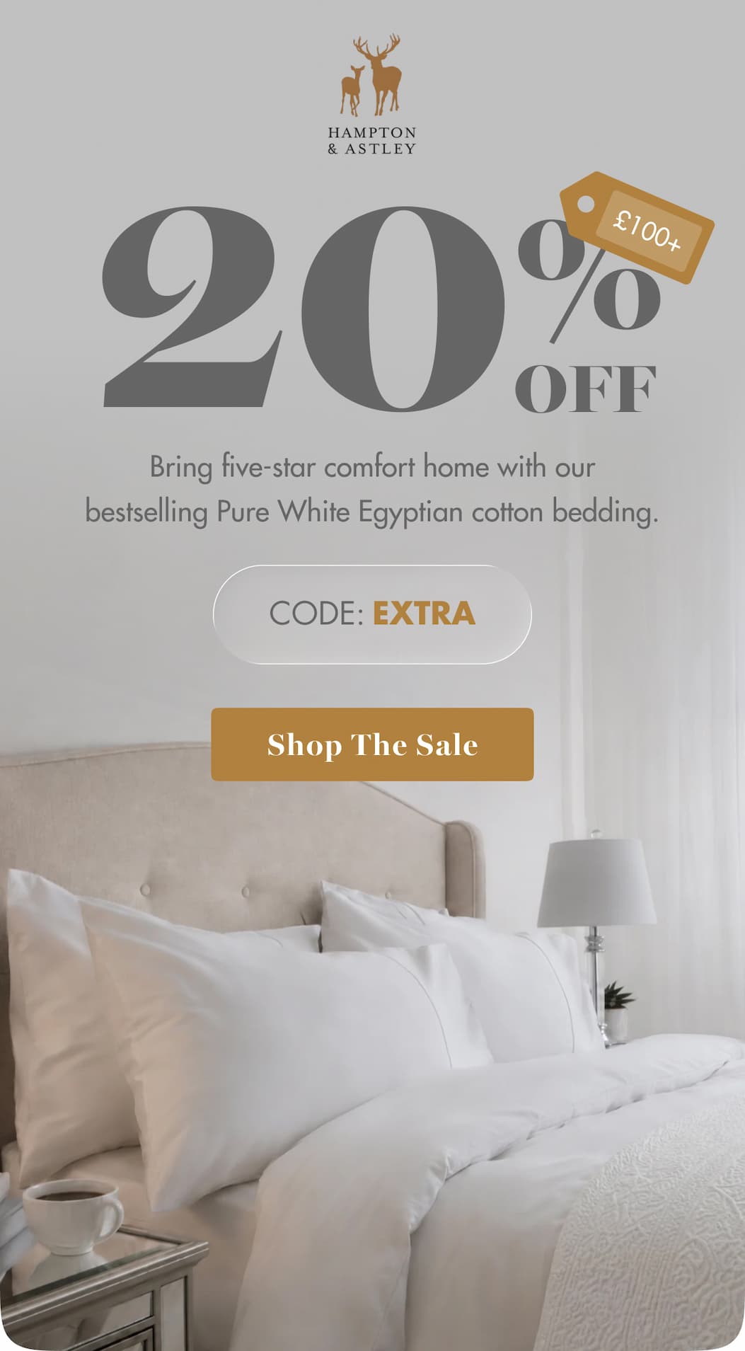 Shop The Sale