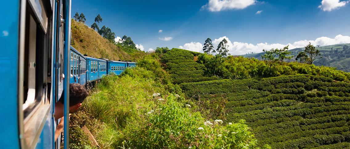 Deluxe 18-Day Ultimate Sri Lanka North to South Discovery with Udawalawe, Kandy & Five-Star Galle Stay
