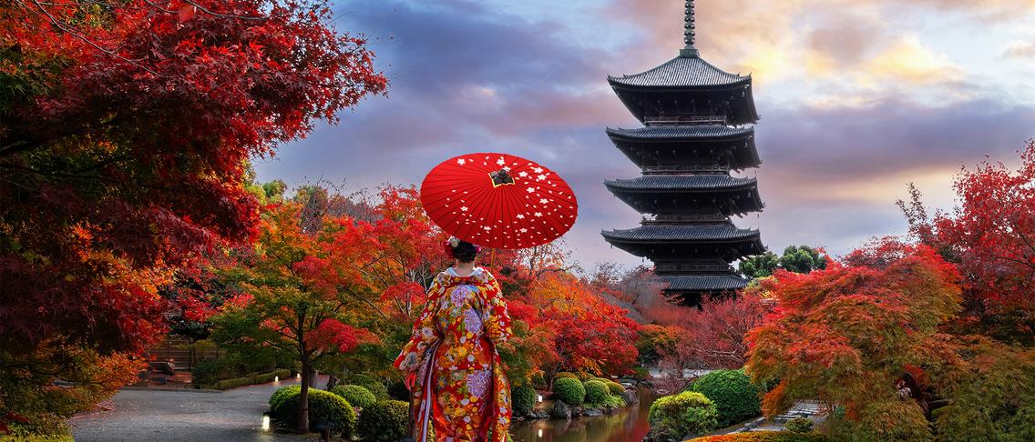 Deluxe 15-Day Best of Japan with Tokyo, Hiroshima & Osaka