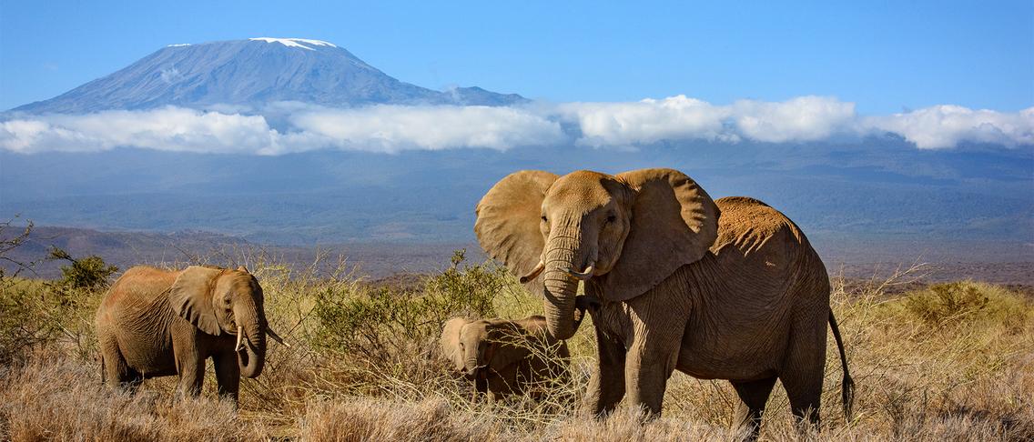 Deluxe 13-Day Kenya & Tanzania Great Migration Safari 2027 with Maasai Mara & Serengeti National Parks 