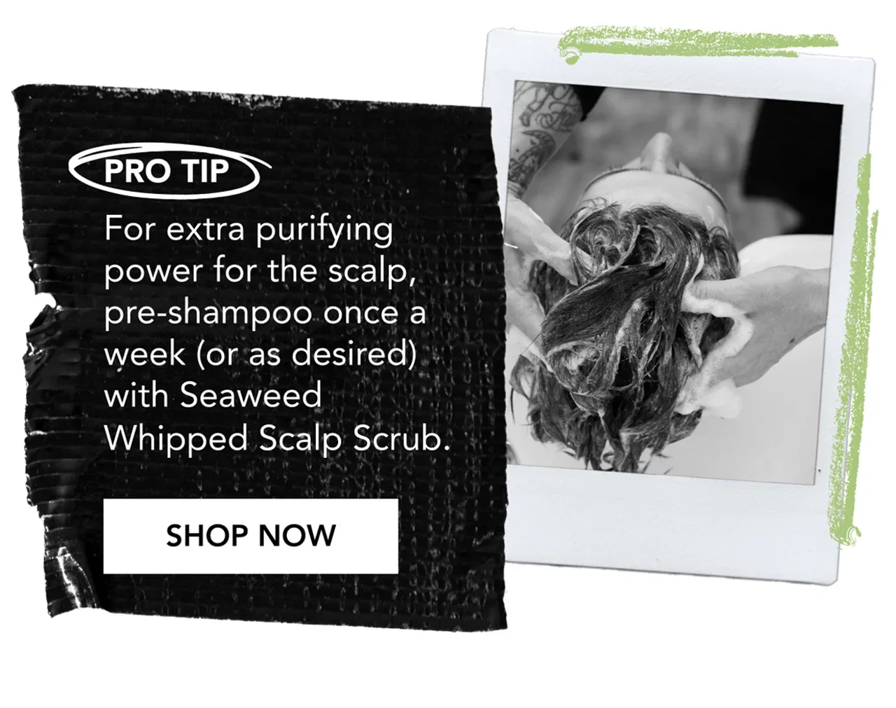 PRO TIP | For extra purifying power for the scalp, pre-shampoo once a week (or as desired) with Seaweed Whipped Scalp Scrub. | SHOP NOW PRO TIP | For extra purifying power for the scalp, pre-shampoo once a week (or as desired) with Seaweed Whipped Scalp Scrub. | SHOP NOW