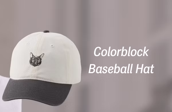 Colorblock Baseball Hat