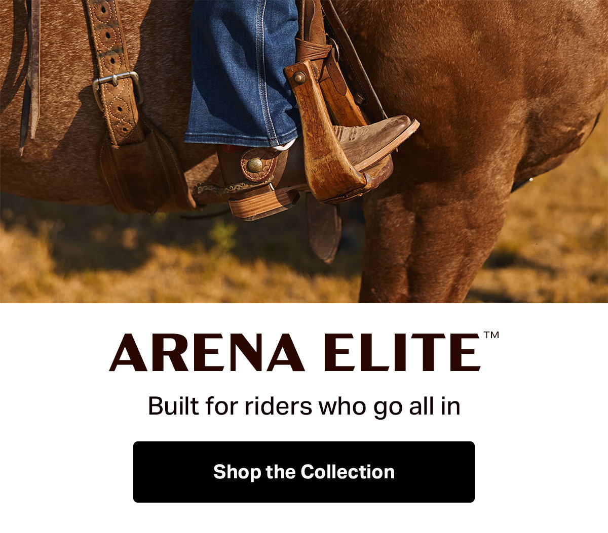 Shop Arena Elite