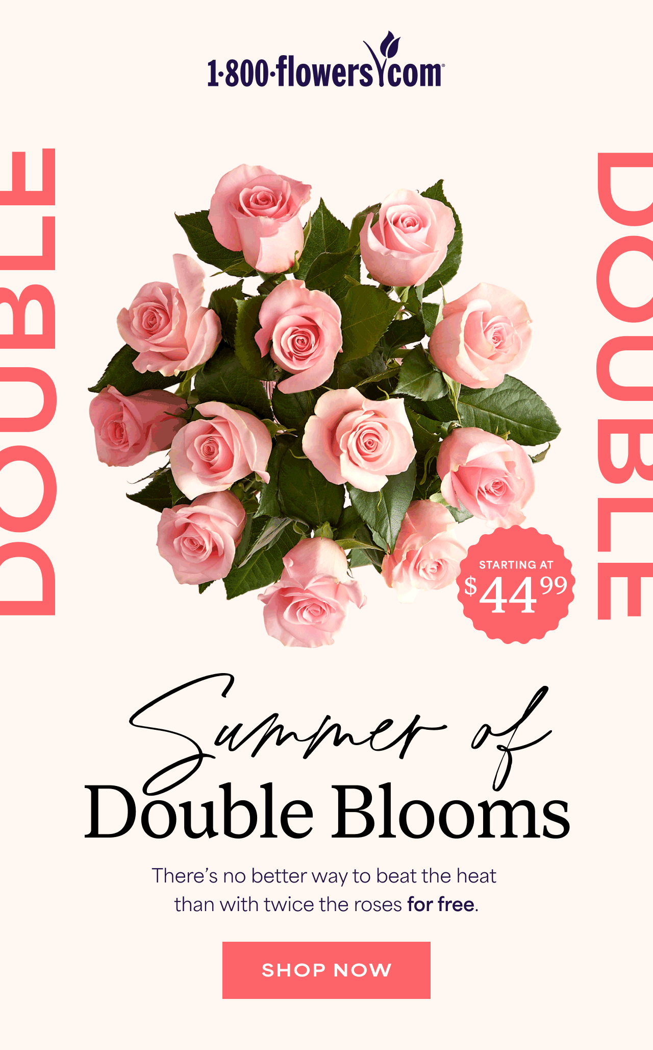 Summer of Double Blooms | there's no better way to beat the heat than with twice the roses for free.